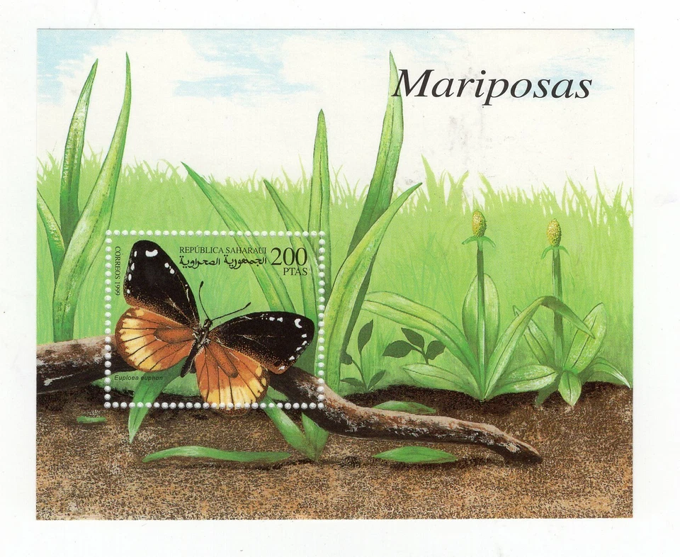 BUTTERFLIES - SAHARA, BLOCK, MNH - Image 1 of 1