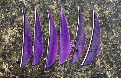 Traditional Archery Feathers RW Parabolic 3” Purple Feathers 149 Pack - Image 1 of 2