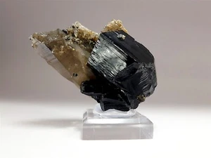 Black Schorl Tourmaline Crystal with Brilliant luster and Smoky Quartz #5 - Picture 1 of 4