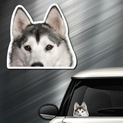 (1) Siberian Husky DOG Peeper Sticker Window Peep Decal Car Auto AKC Puppy NEW! - Image 1 of 4
