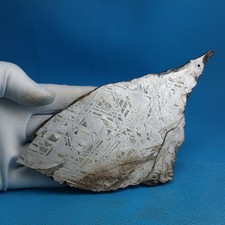 Aletai Meteorite 298.3g slice collectibles amulet specimen iron-nickel RARE