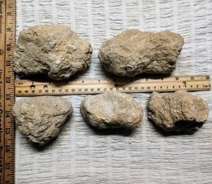 JUMBO+ 4 lbs 1822g 5pcs 3-5" ea Break Your Own Geodes Unopened Moroccan Crystals - Picture 1 of 3