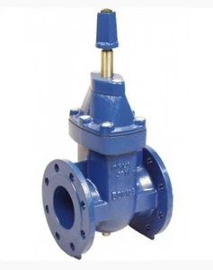 Válvula de puerta de enlace PAM RESS D.1.ACC 50 grados - DN80 - Imagen 1 de 1