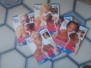 Wrestling Action Figure WCW Galoob Solo Scatolo di Cartone - Foto 1 di 1