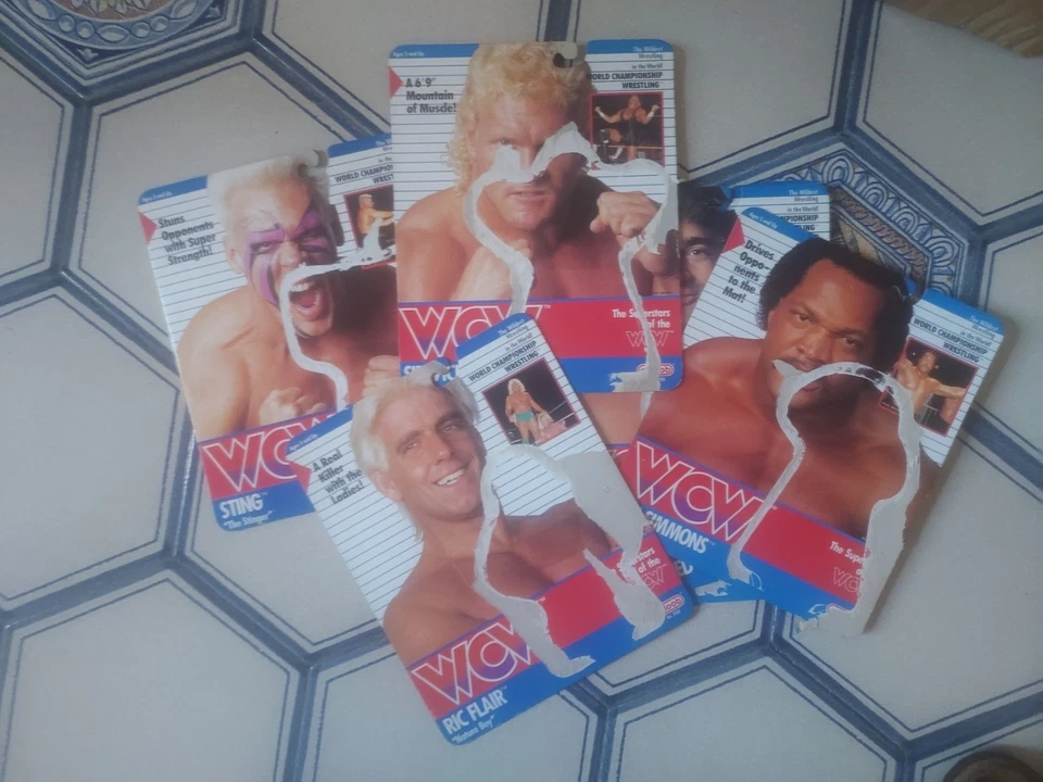 Wrestling Action Figure WCW Galoob Solo Scatolo di Cartone - Immagine 1 di 1