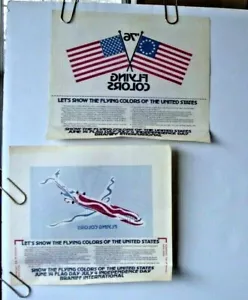BRANIFF INTERNATIONAL AIRWAYS PRINT IRON ON Calder Flying Colors ORIGINAL 2 ITEM - Picture 1 of 4