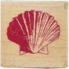 Wood Sea Shell Stamp For Arts And Crafts 15 X 15