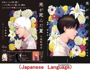 Hikaru Ga Shinda Natsu Special Edition Japanese Light Novel Book Manga Comic - Picture 1 of 26