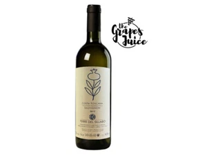 TERRE DEL SILLABO SAUVIGNON 2013 VINO BIANCO COSTA TOSCANA IGT - Imagen 1 de 1