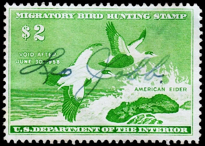United States Hunting Permit Stamp Scott RW24 (1957) Used F-VF, CV $12.50 C - Image 1 of 1