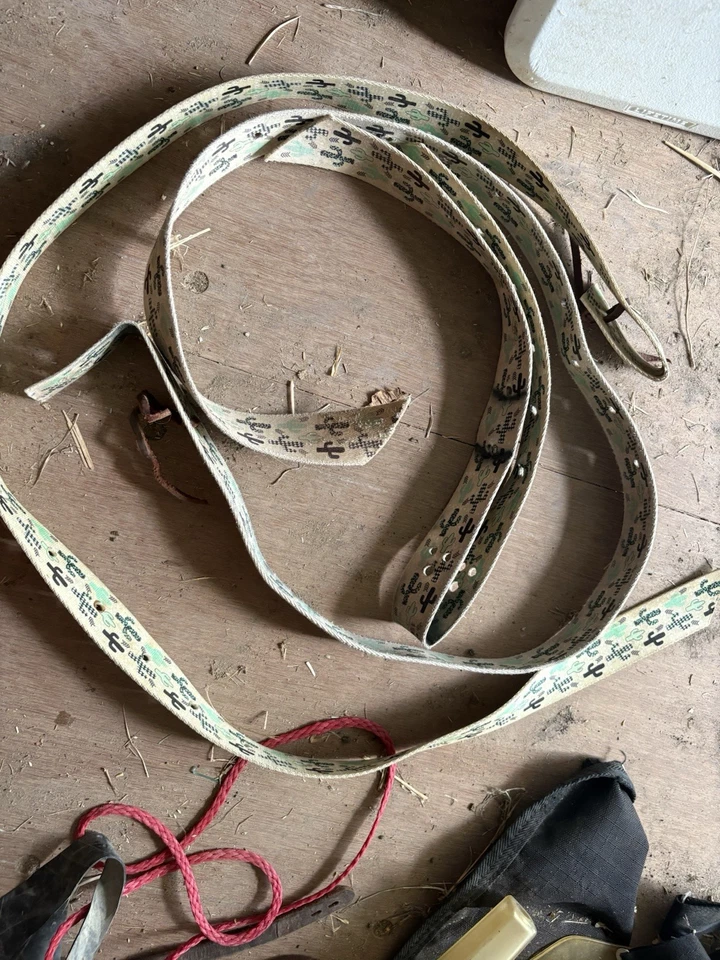 Cactus Horse Latigo - Image 1 of 1