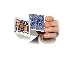 Magic Trick: STATIC FLOATING CARD w/ BICYCLE DECK - Bild 1 von 1