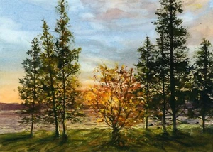 Linda Henry ORIGINAL WATERCOLOR Autumn Landscape - "Sunshine through the Trees" - Picture 1 of 5