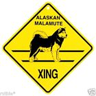Alaskan Malamute Dog Crossing Xing Sign New