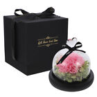 LED Flower Set with Preserved Carnations in Glass Dome and Table Lamp