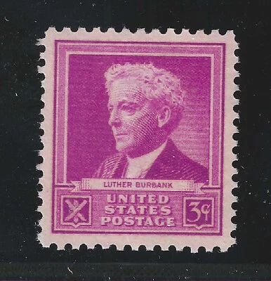 US STAMP #876   ---  3c BURBANK  — XF-SUPERB -- MINT - GRADED 95 - Image 1 of 2