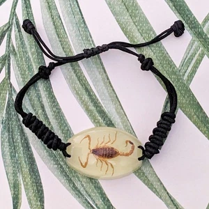 Echtes Glow in the Dark Skorpion Armband - Pseudolychas ochraceus - Bild 1 von 2