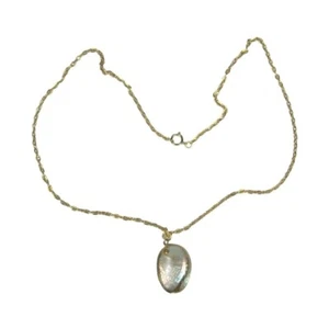 Shell Pendant Chain Necklace Mother Of Pearl Goldtone Statement 24 inch - Picture 1 of 11