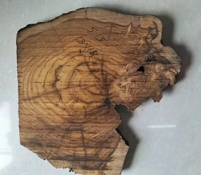 live edge slice of indian teak wood burl wood with high grains for casting craft - Image 1 of 4