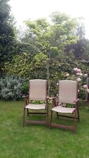 2 Reclining Solid Wooden & Rattan Winchester Collection Garden Chairs