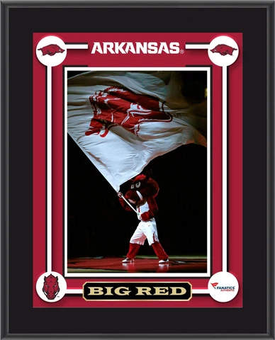 Arkansas Razorbacks Tusk 10.5x13 Sublimated Mascot Plaque - Fanatics Cover