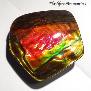 255Carat.!! I Sammler Ammolite /Drachenschuppe Rot Grün-Golden-Orange   + VIDEO - Picture 1 of 9