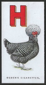 OGDENS-POULTRY ALPHABET 1924-#08- HOUDAN 