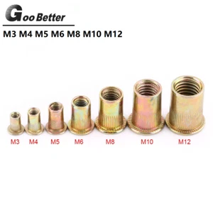 BLIND RIVET NUT RIVNUTS THREADED NUTSERTS YELLOW ZINC M3 M4 M5 M6 M8 M10 M12 - Picture 1 of 6