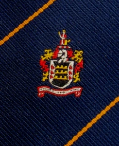 CORBATA HELP UNKNOWN CREST 3,75 PULGADAS POLIÉSTER G R ADAMS - Imagen 1 de 4