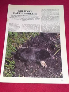 LIVING COUNTRYSIDE # 28: (vol 3 p541-560) Solitary Earth Workers - Bild 1 von 1