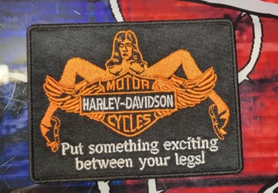 EMBROIDERED PUT SOMETHING EXCITING BETWEEN YOUR LEGS PATCH (Please Read Ad) - Image 1 of 3