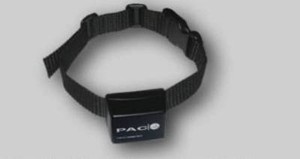 pac dog collar