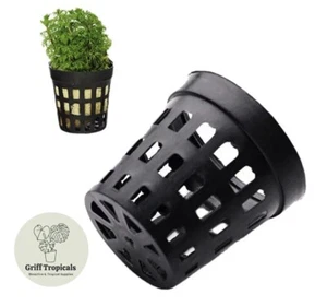 Aquarium Plant Pots x 10 - 5cm x 5cm planting tropical fish tank hydroponic - Picture 1 of 1