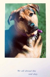 PET DOG SYMPATHY CARD "We All Dread the Sad Day... Know You Did All You Could" - Picture 1 of 2