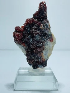 Garnet with Barite Cluster- Liangcheng Mine, Inner Mongolia, China-Cabinet Peace - Picture 1 of 9