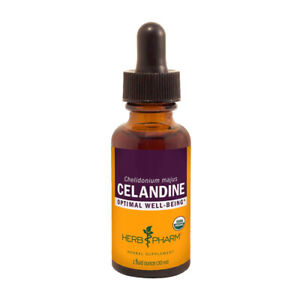 Chélidoine Extrait 29.6ml Par Herb Pharm