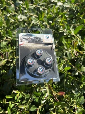 Tapa válvula neumático bmw 50 aniversario m5 m3 m6 e39 e60 e65 e90 e46 e30 e92 428i m4 745li Foto 1 de 4