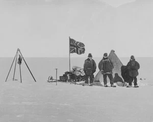 Endurance Ship Crew 8X10 Photo Sir Ernest Shackleton South Pole Antarctic #7 - Picture 1 of 1