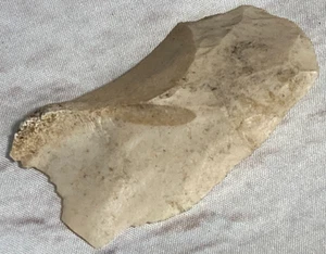 Antigua herramienta de piedra cortada lítica prehistórica de 2,5" de nativos americanos de Florida - Imagen 1 de 7