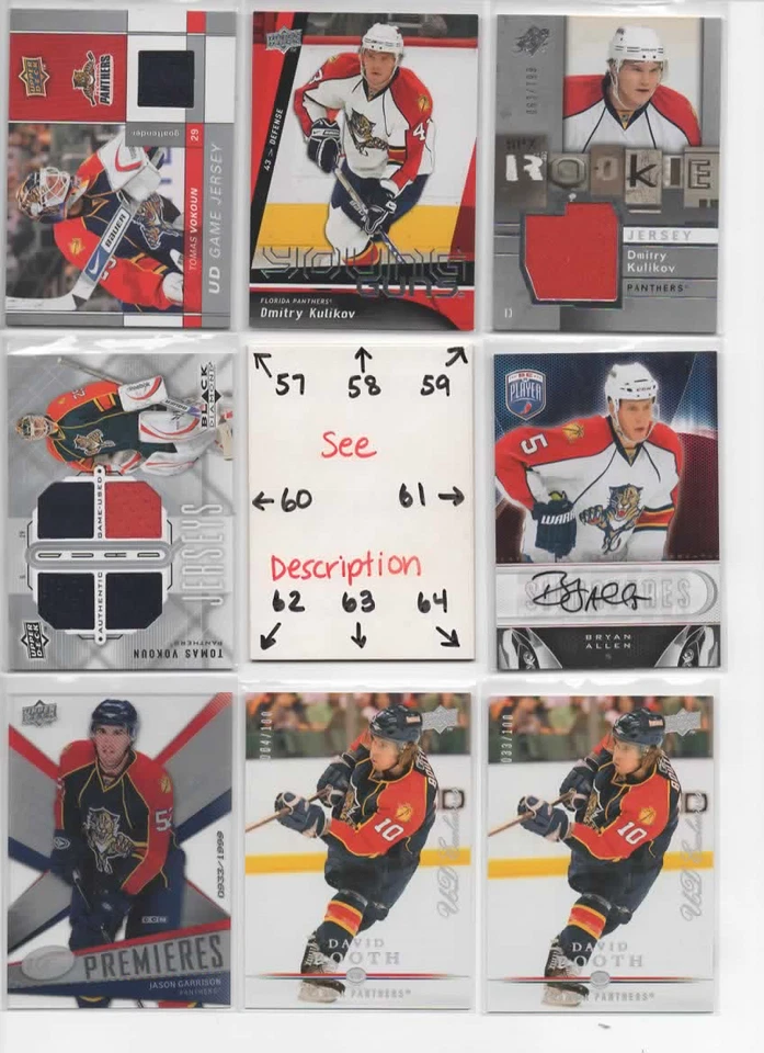 Florida Panthers U-PICK SERIAL #'d Rookies Autos Jerseys EKBLAD LUONGO AND MORE - Image 1 of 4