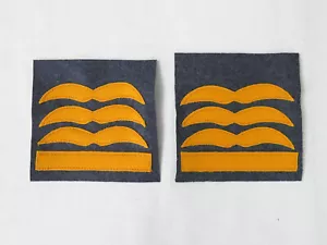Luftwaffe Dienstgradabzeichen General Fl. Abzeichen Knochensack Fallschirmjäger - Bild 1 von 2