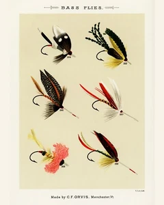 Print or Canvas  - Bass Flies  by Mary Orvis Marbury - Picture 1 of 1