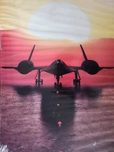 1988 SCHOLASTIC BOOK FAIRS STEALTH BOMBER PICTURE - Picture 1 of 8