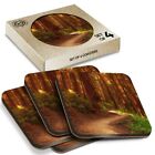 4 x Boxed Square Coasters - Ancient Redwood Tree Forest  #13072