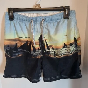 Island Haze Swim Shorts Boys Size 14 Black Bathing Suit Trunks Beach Ocean - Picture 1 of 4