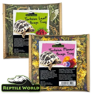 Reptile World Schildkröte Futterschale, 100 % natürliche Behandlung für Schildkröten, Blumen - Bild 1 von 9