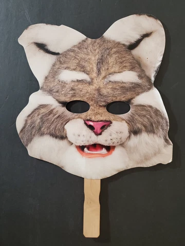 NEW Diamondbacks Baxter the Mascot Cardboard Hand Fan / Mask Dbacks 2013 SGA Cover