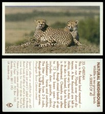 Cheetah #23 Natural Neighbours 1992 Brooke Bond Tea Card