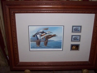 ALASKA #2 1986 STATE DUCK STAMP AND PRINT, MEDALLION EDITION BY JAMES MEGER - Image 1 of 4