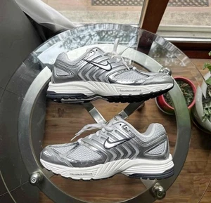 Size 13 W - Nike Air Pegasus 2K5 Chrome Vomero 11.5 Men’s Og Retro 2023 - Picture 1 of 6